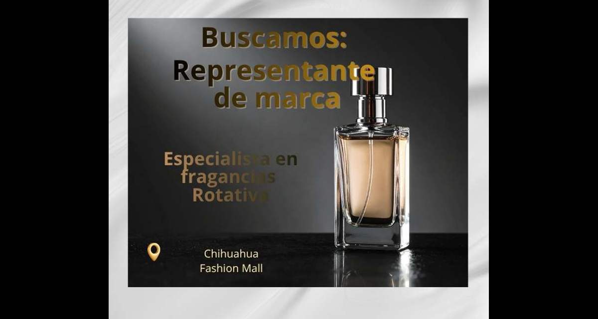 Gio Consultores