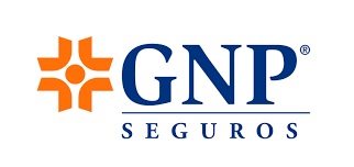 Piñon Petriz Consultores Sc