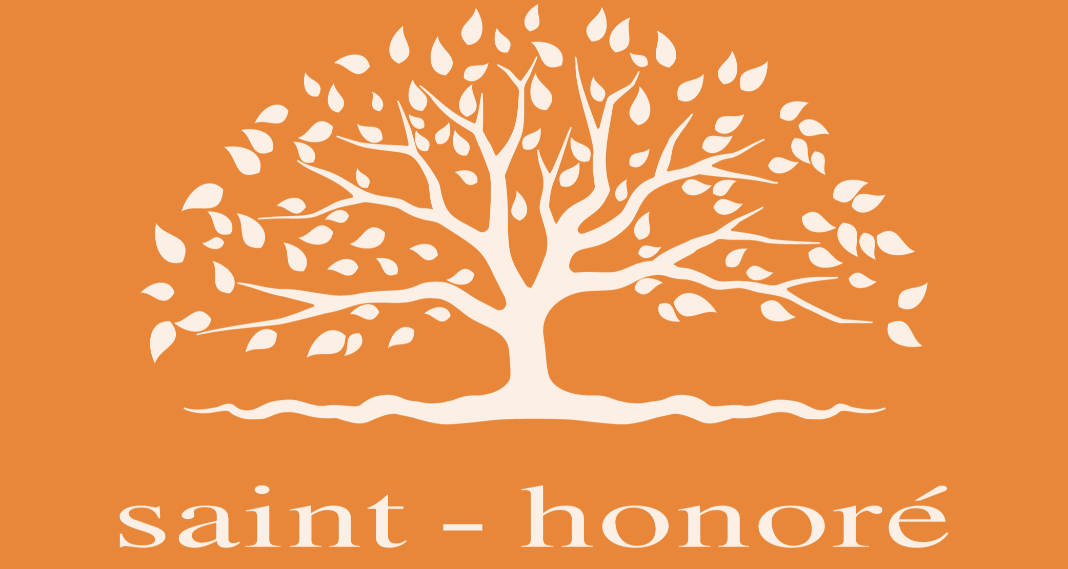 Lux Distribution Chile Spa