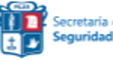Secretaría de Seguridad de Pilar