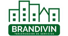 BRANDIVIN S.A.
