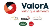Grupo Valora