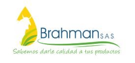 Distribuidora Brahman S