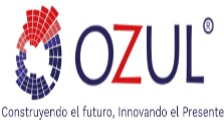 CONSTRUCTORA OZUL SAS 