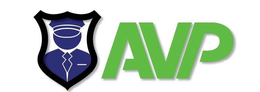 AVP Y SEGURIDAD 