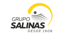 Grupo Salinas de Honduras 