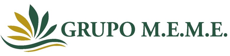 GRUPO M.E.M.E