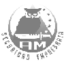AM Seguridad Empresaria SRL