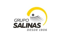 Grupo Salinas de Guatemala