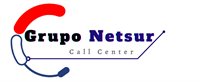 GRUPO NETSUR