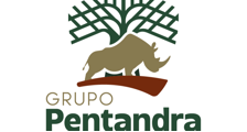 Grupo Pentandra