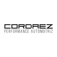 Performance Automotriz Group C.