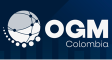 Ogm Consultores Empresariales